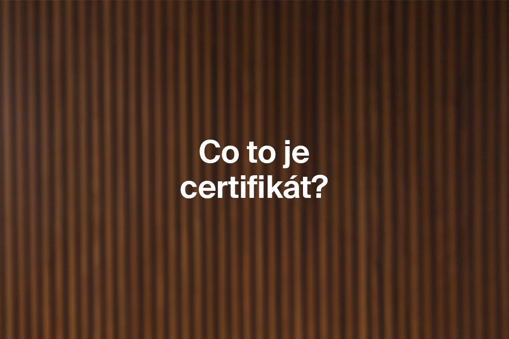 Obrázek k článku: Co to je certifikát k elektronickému podpisu?